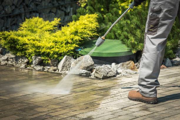 Best Animal Enclosure Cleaning  in Obion, TN