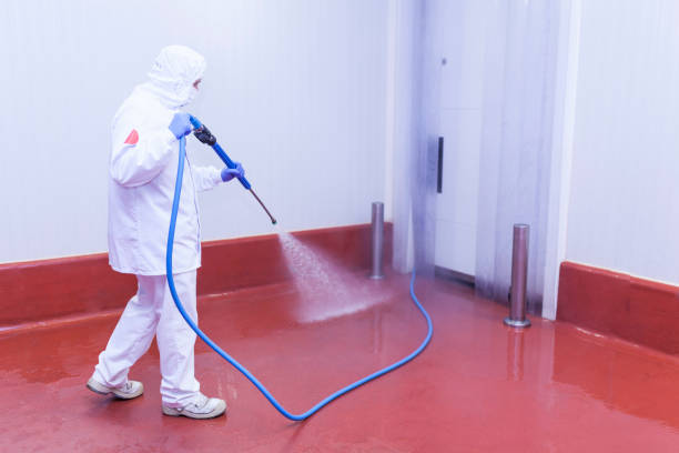 Best Solar Panel Cleaning  in Obion, TN