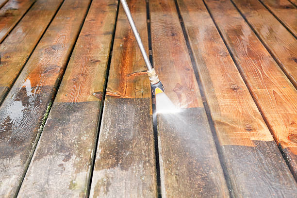 Best Driveway Pressure Washing  in Obion, TN